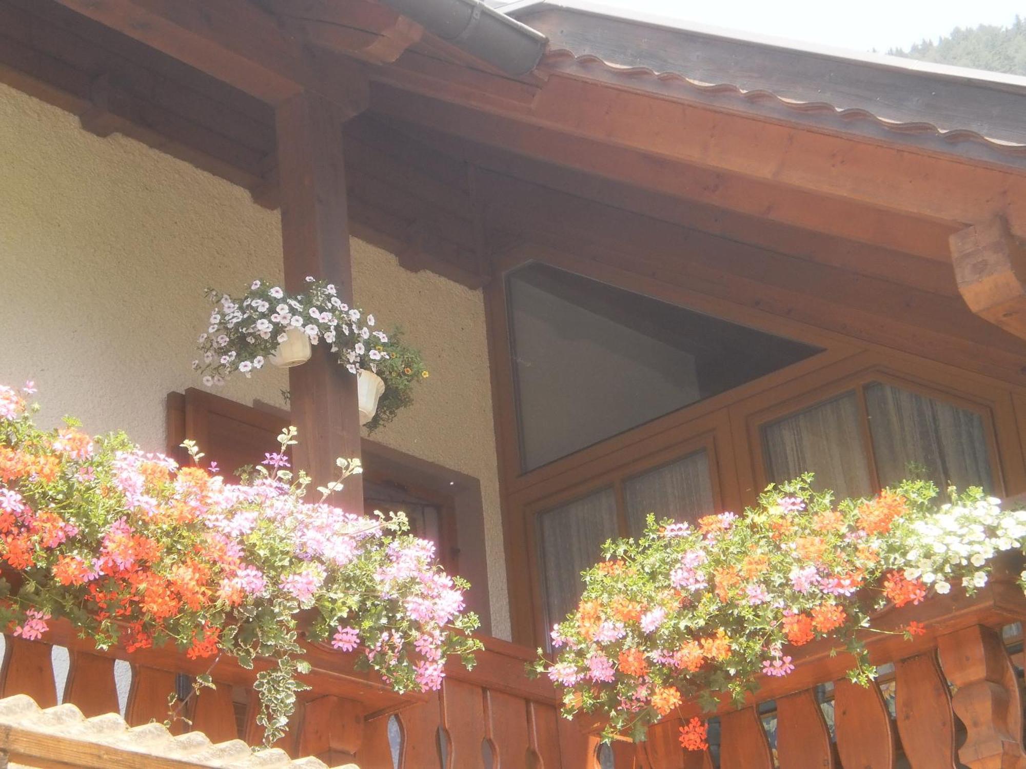 דירות וויסנסי Haus Birke מראה חיצוני תמונה