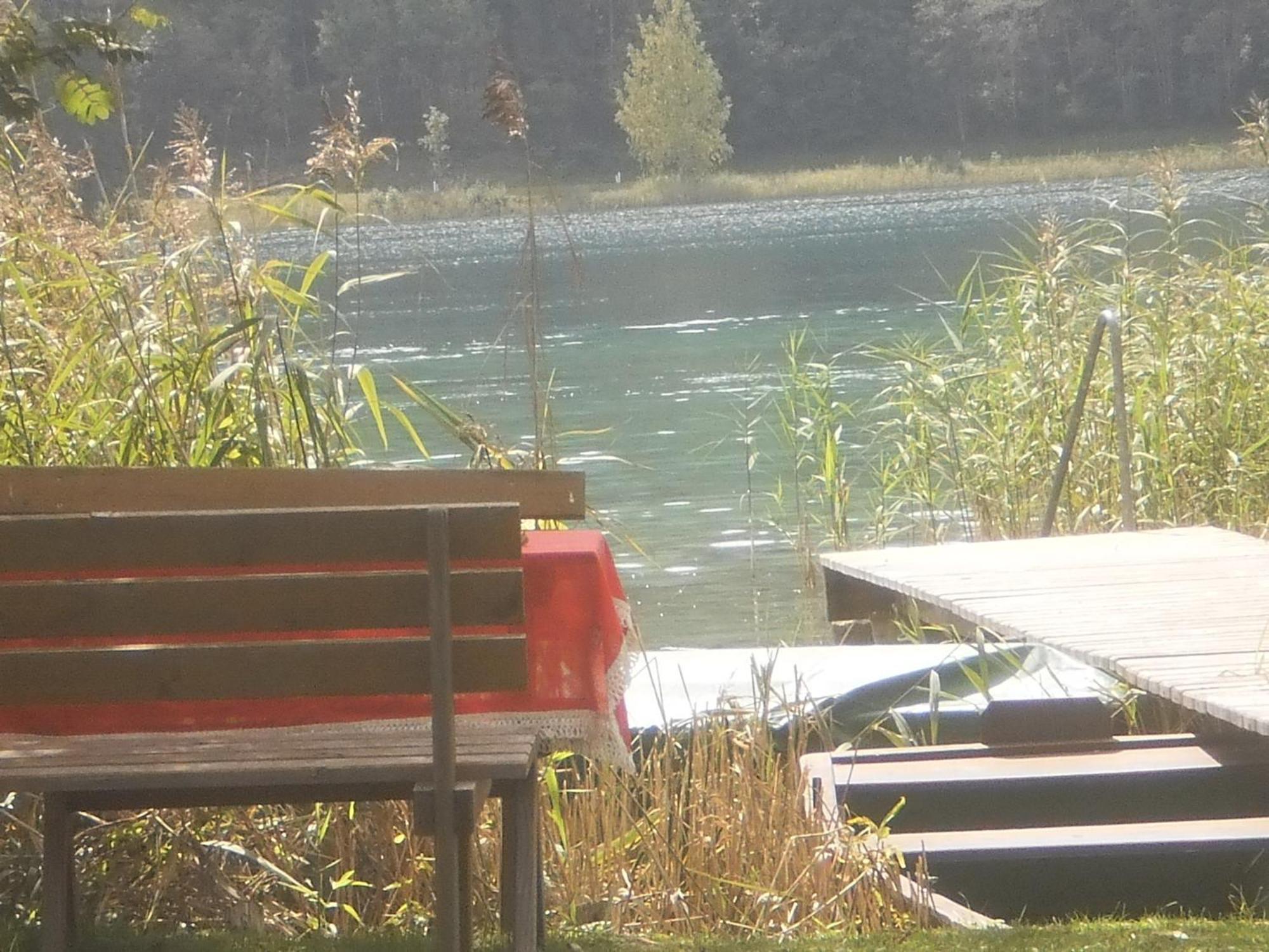 דירות וויסנסי Haus Birke מראה חיצוני תמונה